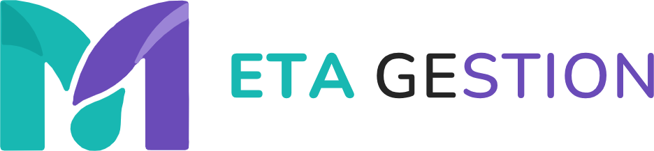 meta gestion